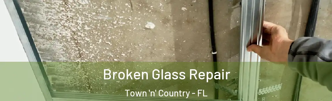 Broken Glass Repair Town 'n' Country - FL