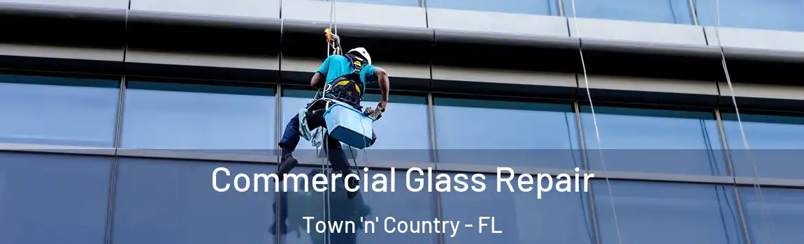 Commercial Glass Repair Town 'n' Country - FL