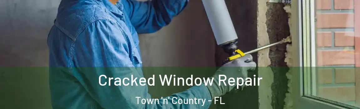 Cracked Window Repair Town 'n' Country - FL