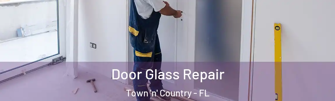 Door Glass Repair Town 'n' Country - FL