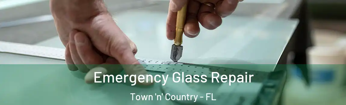 Emergency Glass Repair Town 'n' Country - FL