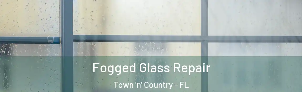 Fogged Glass Repair Town 'n' Country - FL