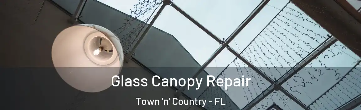 Glass Canopy Repair Town 'n' Country - FL