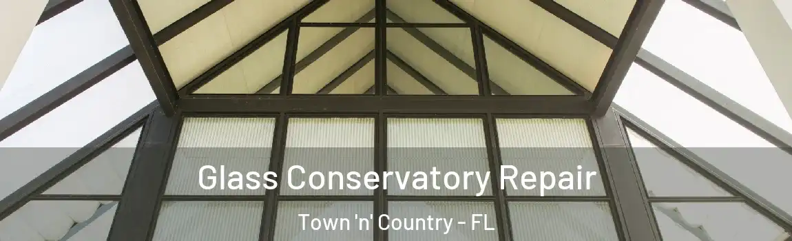 Glass Conservatory Repair Town 'n' Country - FL