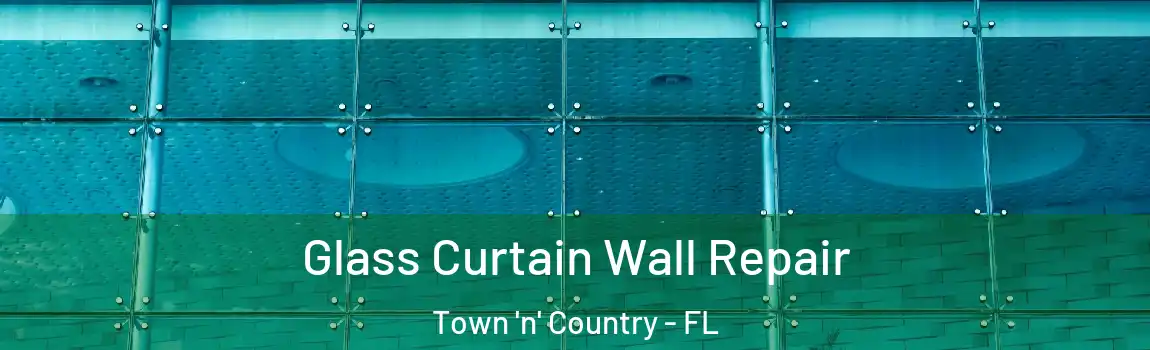 Glass Curtain Wall Repair Town 'n' Country - FL