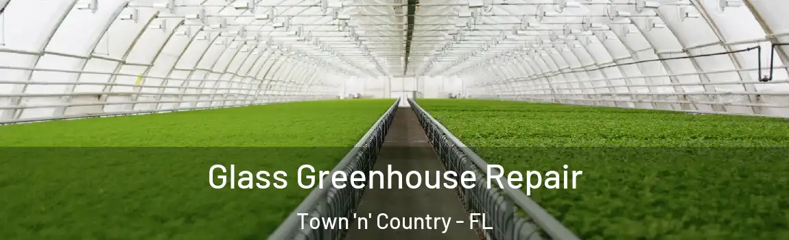 Glass Greenhouse Repair Town 'n' Country - FL