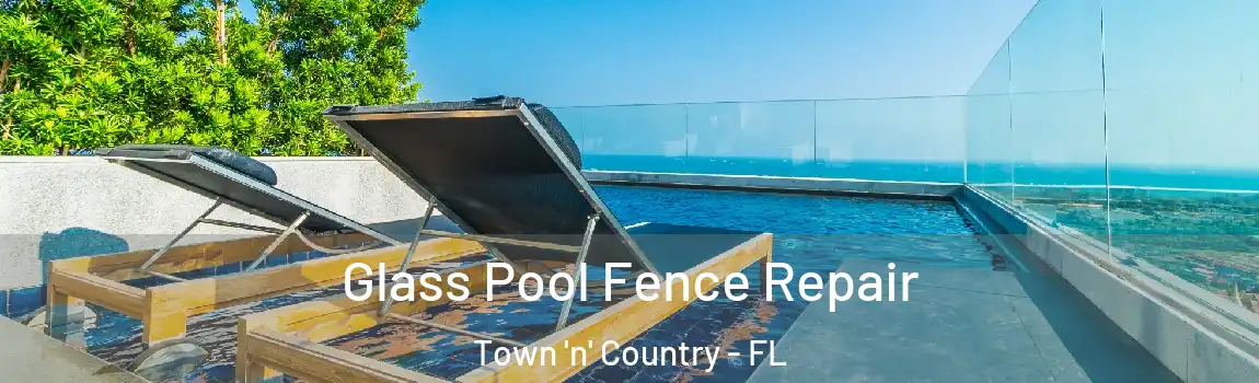  Glass Pool Fence Repair Town 'n' Country - FL