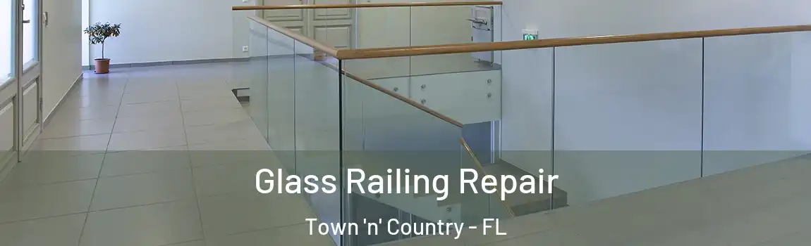 Glass Railing Repair Town 'n' Country - FL
