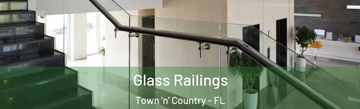  Glass Railings Town 'n' Country - FL