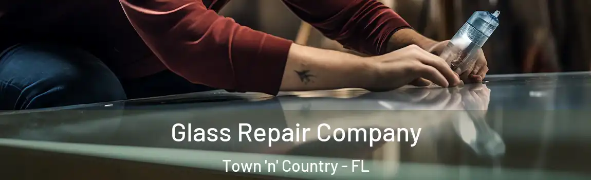 Glass Repair Company Town 'n' Country - FL