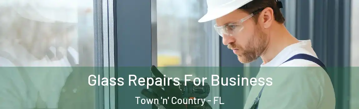 Glass Repairs For Business Town 'n' Country - FL