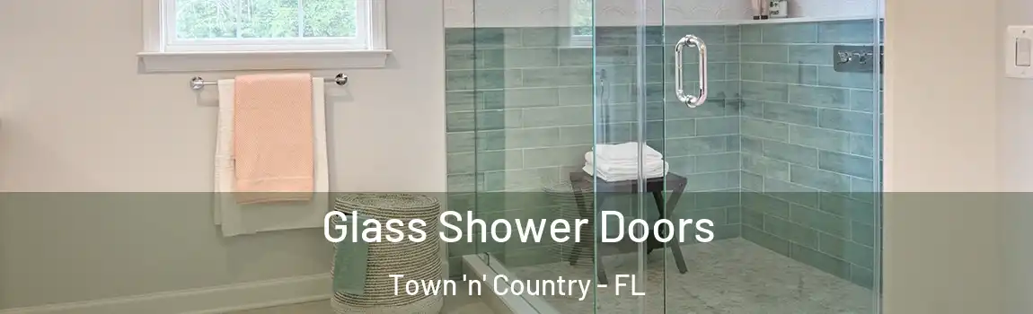 Glass Shower Doors Town 'n' Country - FL