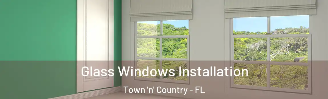  Glass Windows Installation Town 'n' Country - FL