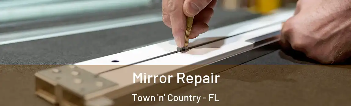 Mirror Repair Town 'n' Country - FL