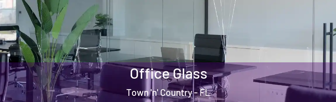 Office Glass Town 'n' Country - FL