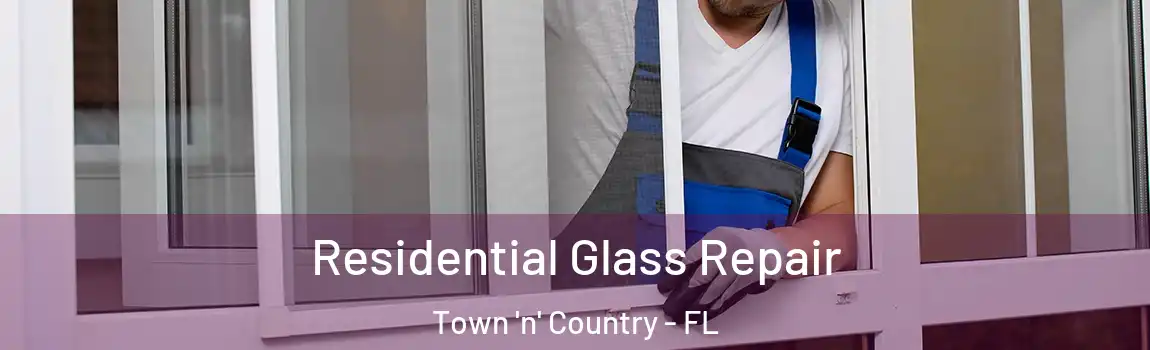 Residential Glass Repair Town 'n' Country - FL