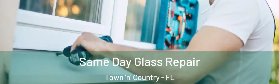 Same Day Glass Repair Town 'n' Country - FL