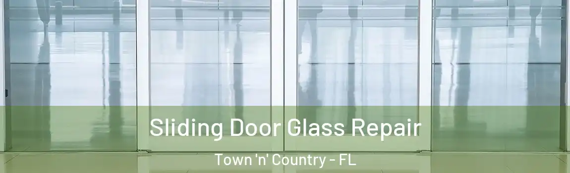 Sliding Door Glass Repair Town 'n' Country - FL