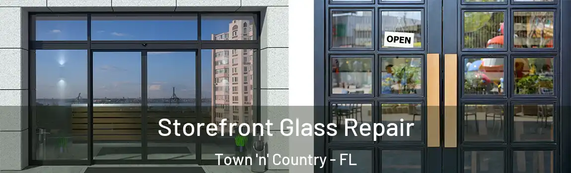 Storefront Glass Repair Town 'n' Country - FL