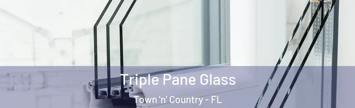  Triple Pane Glass Town 'n' Country - FL