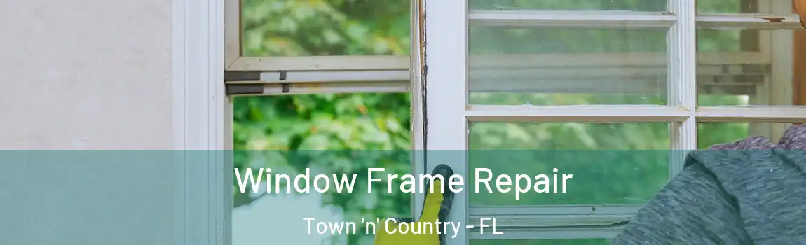  Window Frame Repair Town 'n' Country - FL