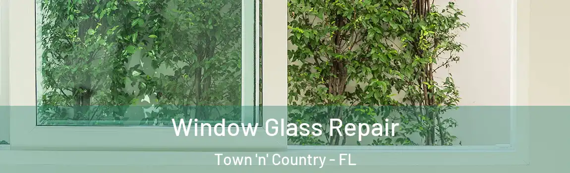 Window Glass Repair Town 'n' Country - FL