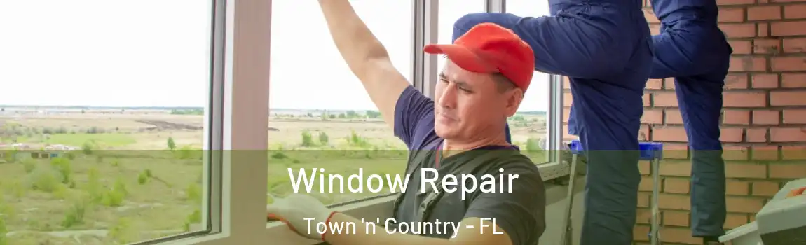 Window Repair Town 'n' Country - FL