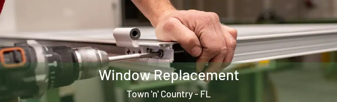 Window Replacement Town 'n' Country - FL
