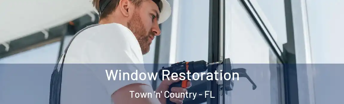 Window Restoration Town 'n' Country - FL