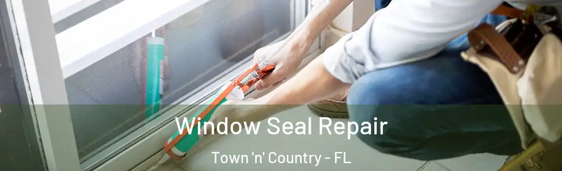  Window Seal Repair Town 'n' Country - FL